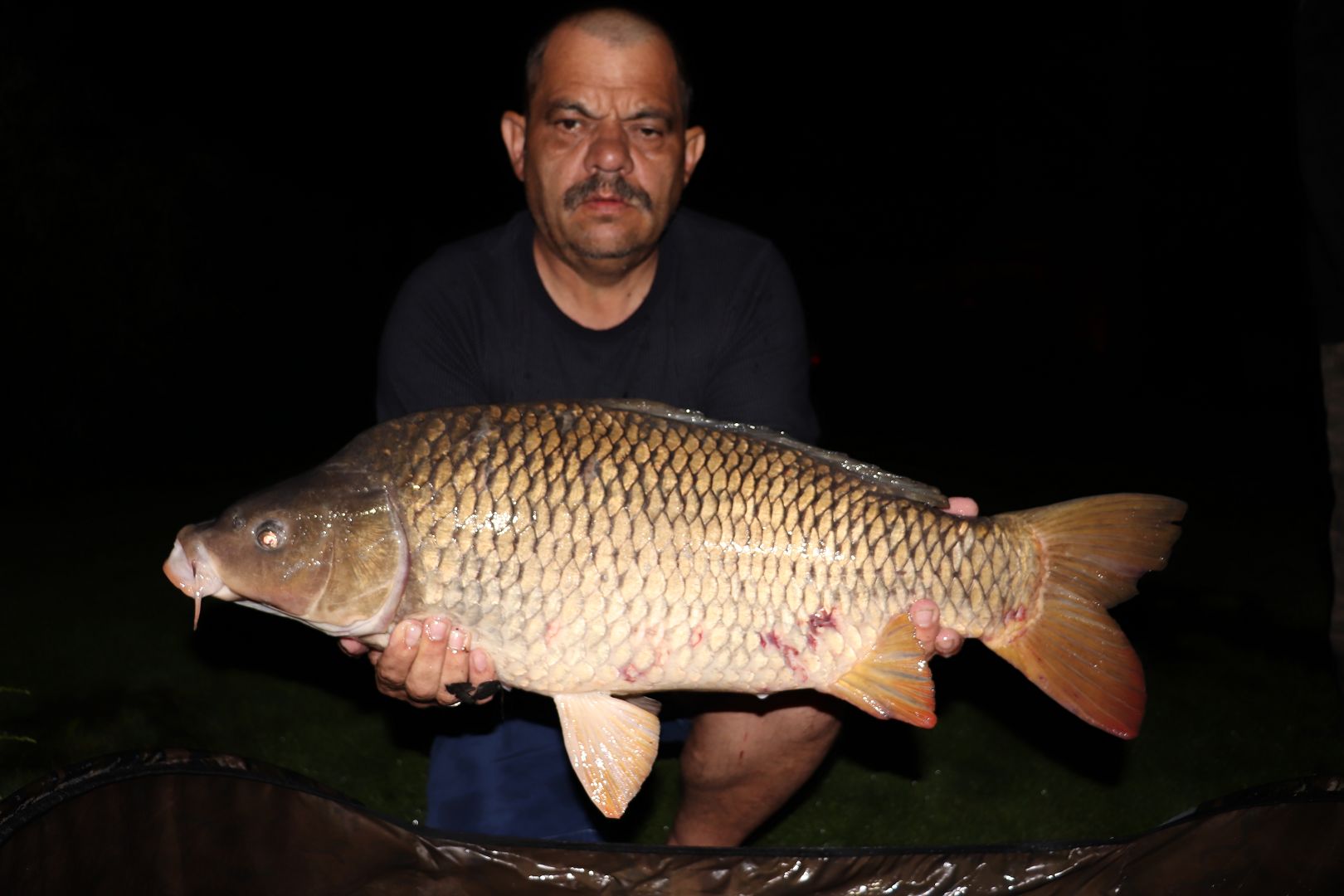 DOVOLENÁ 2019 - LUŽNICE