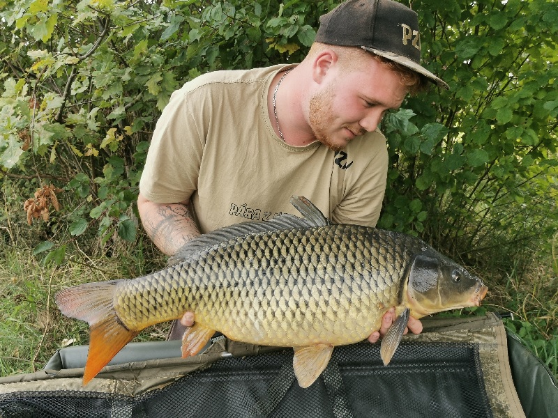 Jakuba rychloakce na Labi