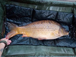 Sraz Pára z Navijáku