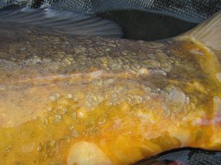 LABSKÝ START DO SEZÓNY 2018