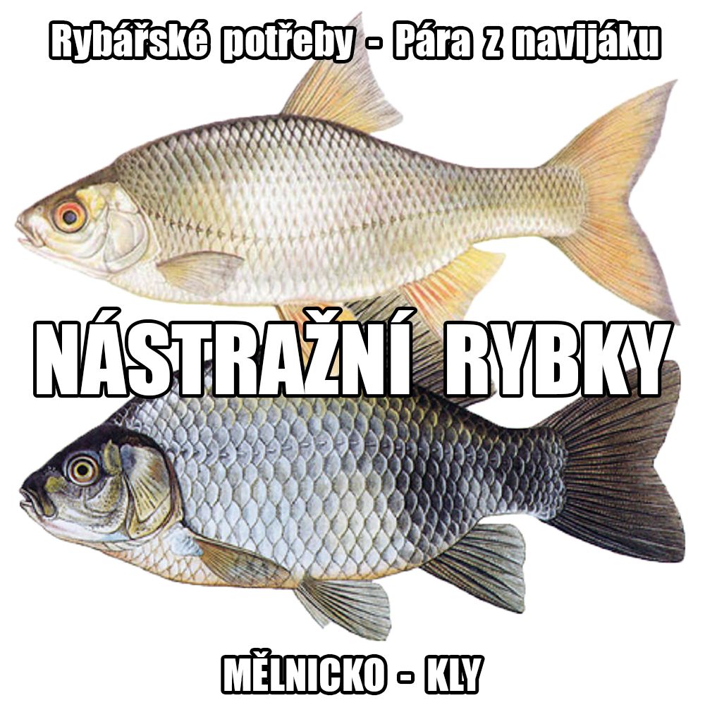 NÁSTRAŽNÍ RYBKY