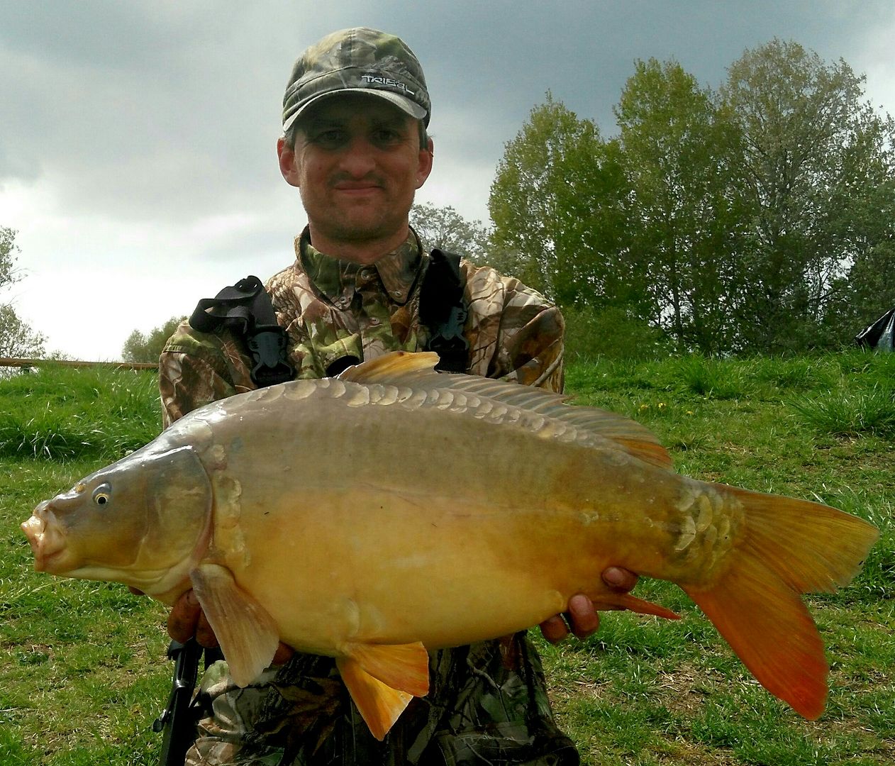 FEEDER S DOMINIČKEM