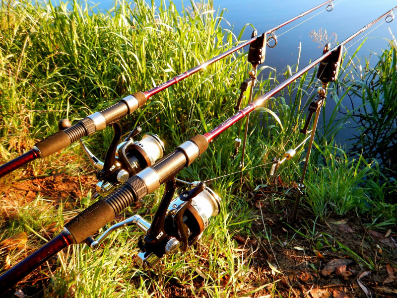 Prví zkušenosti s Etna Carp next generation