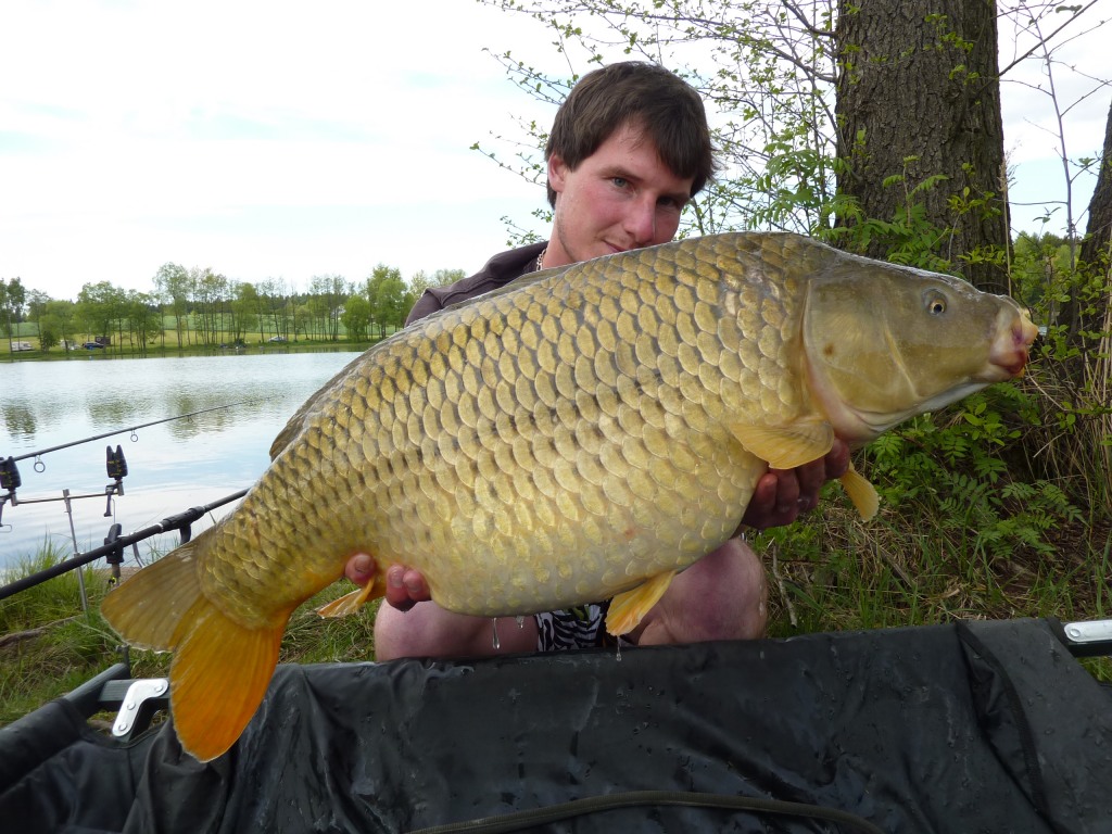 PÁRA Z NAVIJÁKU - BRODSKÝ - TESTER MARTIN SUCHARDA