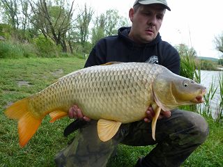 SK - REVÍR SEDLEC U MIKULOVA