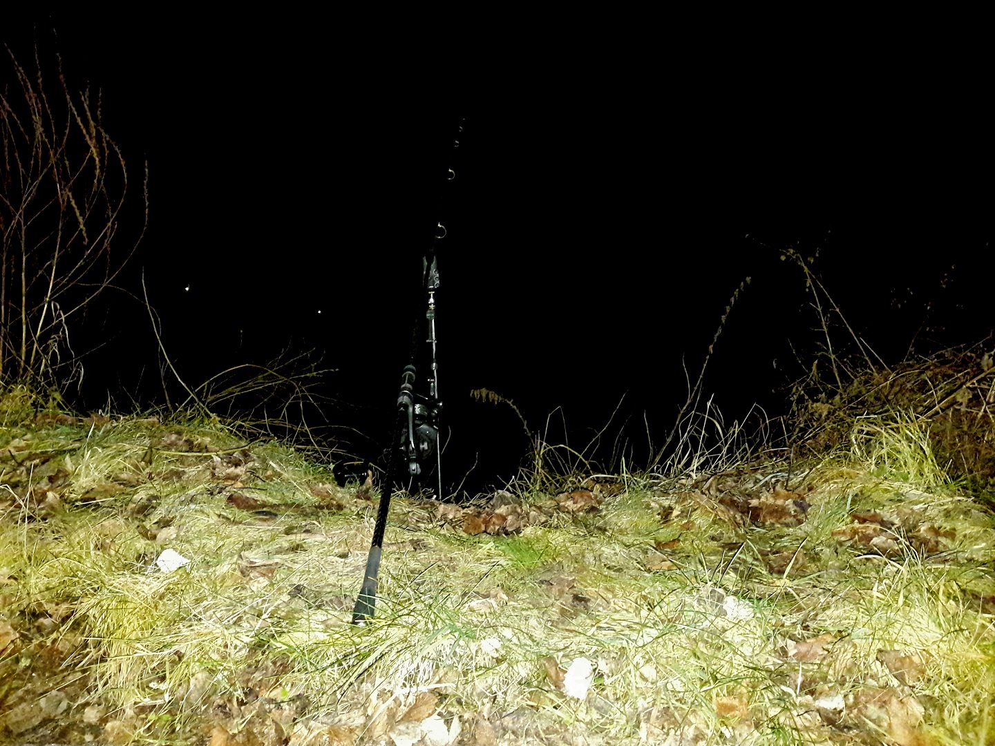 REPORT Z POSLEDNÍHO LOVU