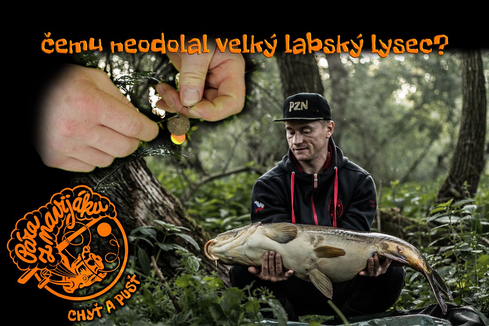 ČEMU NEODOLAL VELKÝ LABSKÝ LYSEC??