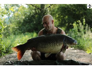 UČÍME SE CELÝ ŽIVOT