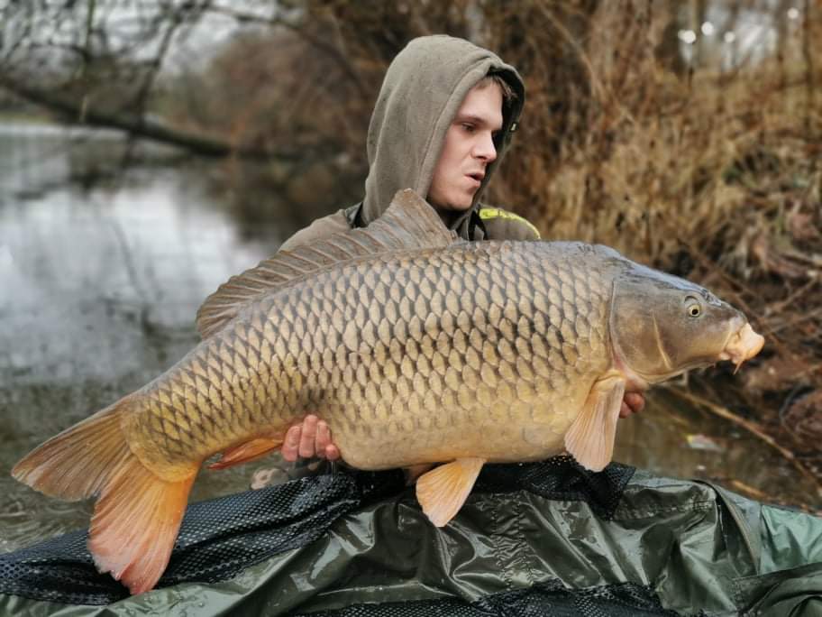 Neskutečné zvíře