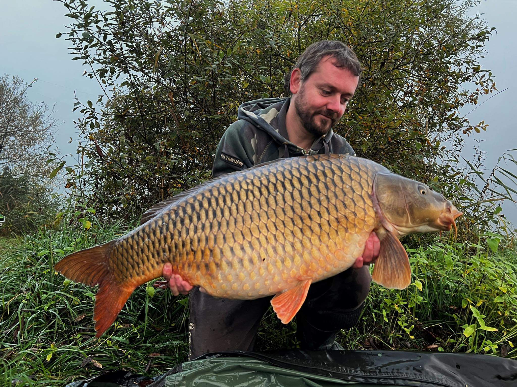 Krásně zbarvený kapr