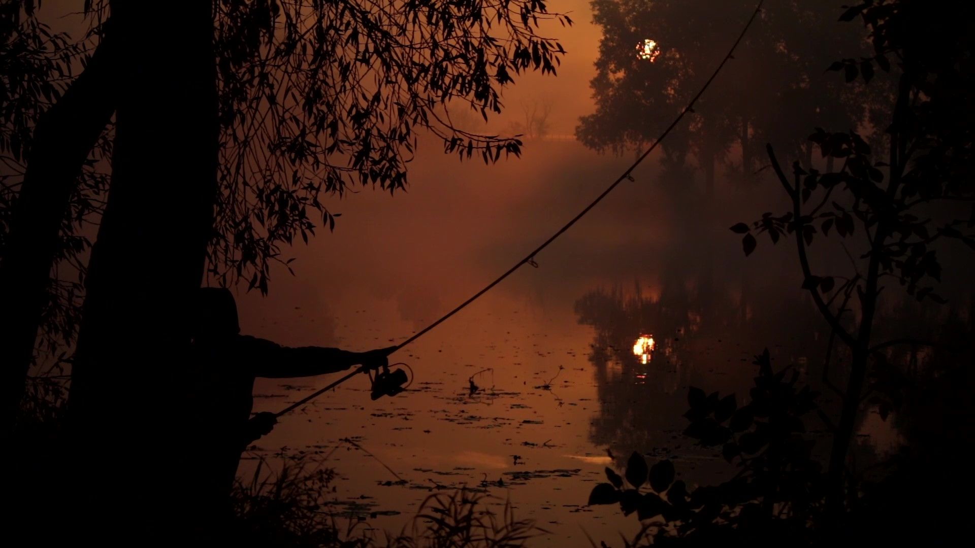 VIDEO - RIVER WANDER 3: STARTING AUTUMN