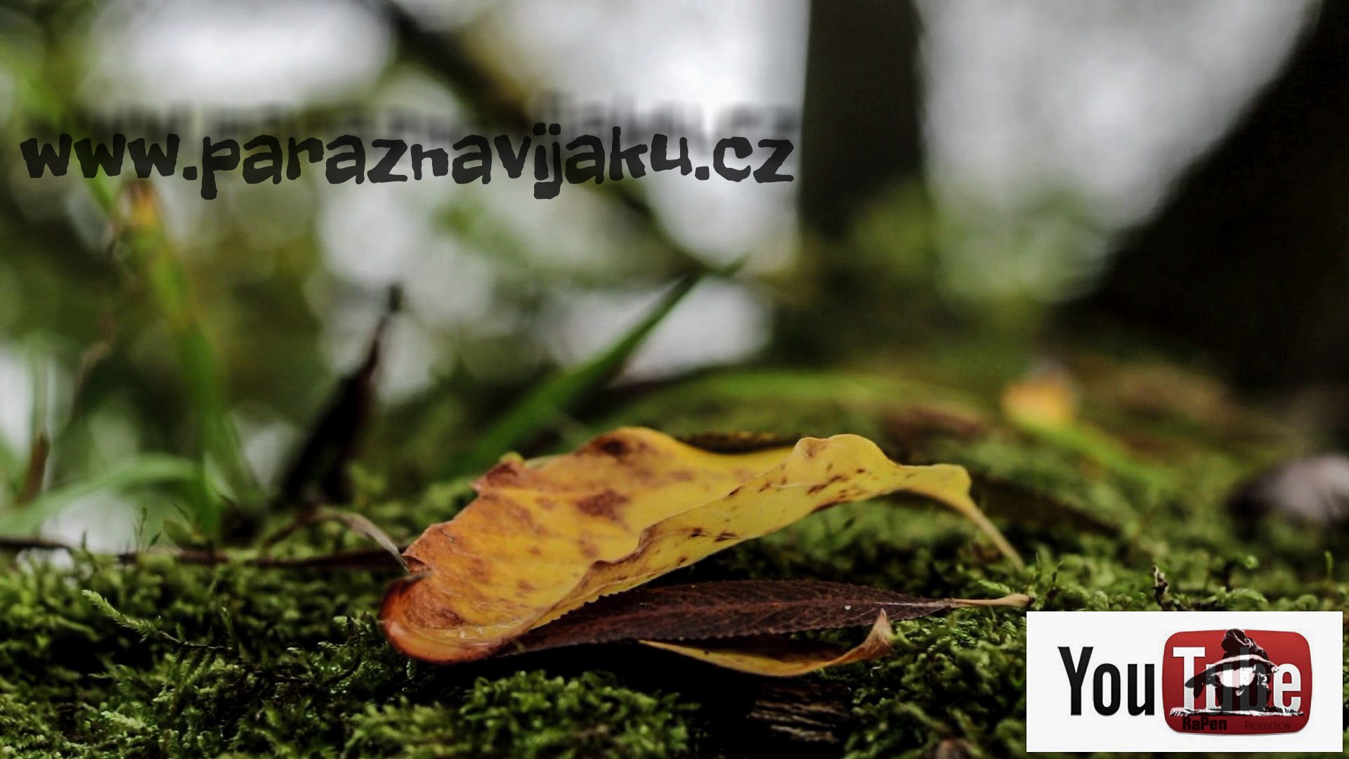 RIVER WANDER 4: AUTUMN RIVER