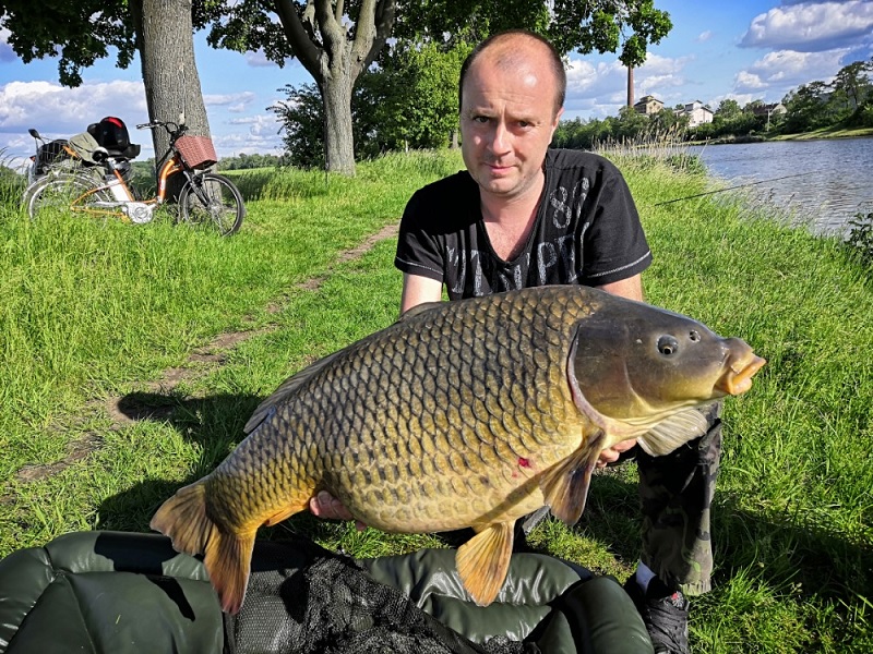 Další krasavec z Labe