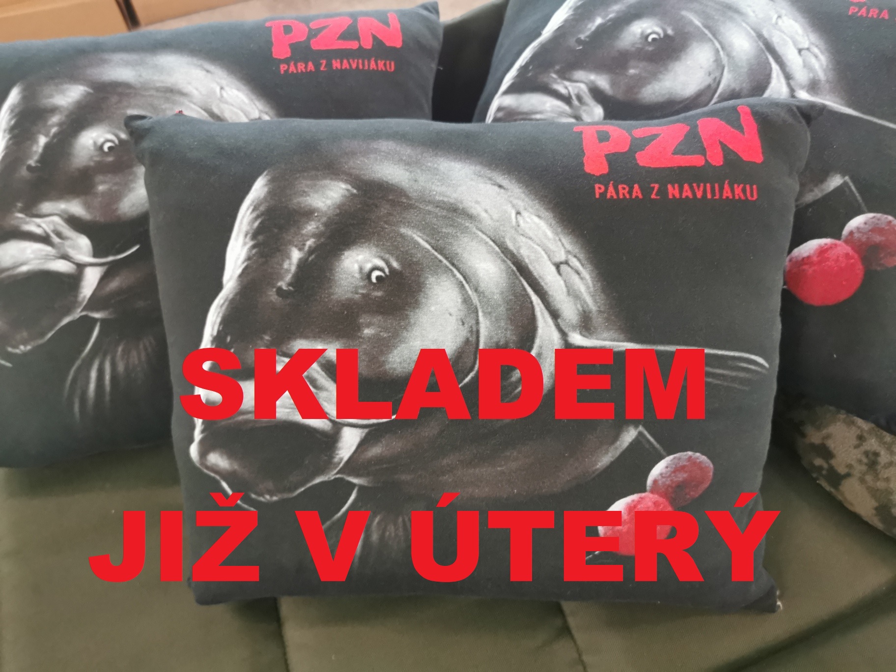 PZN polštář bude naskladněn 20.12.2022