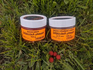 JEDNODENNÍ VYCHÁZKA