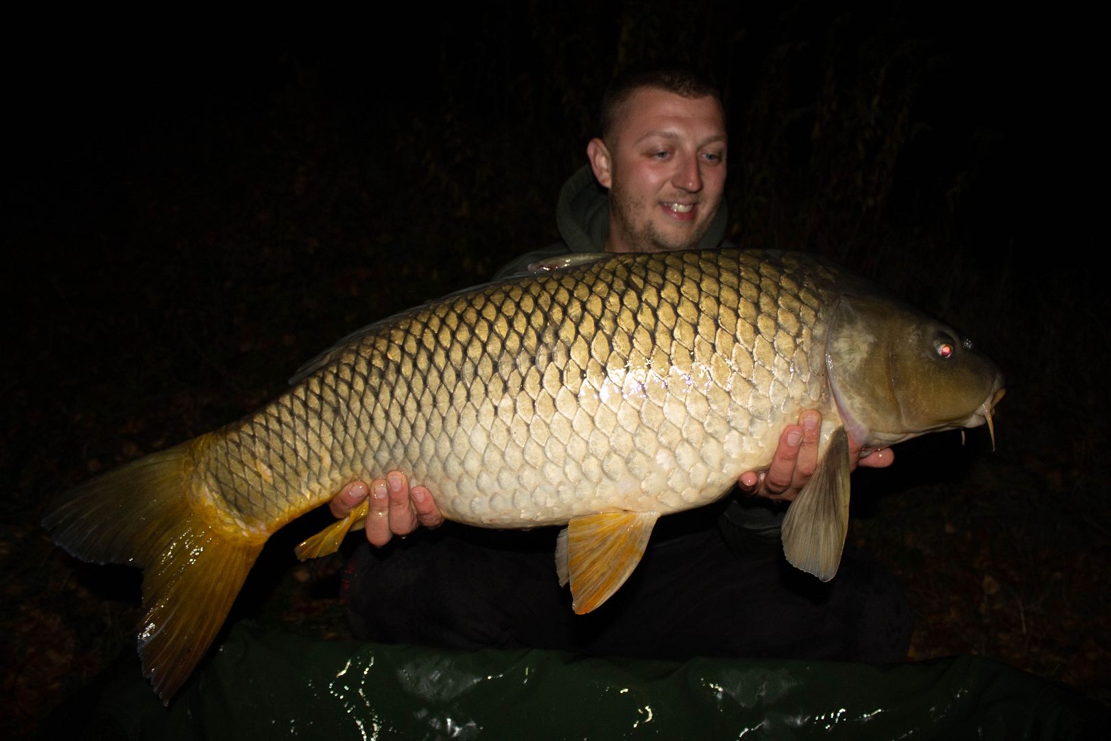 PODZIMNÍ VÝPRAVIČKA PŘED ÚPLŇKEM