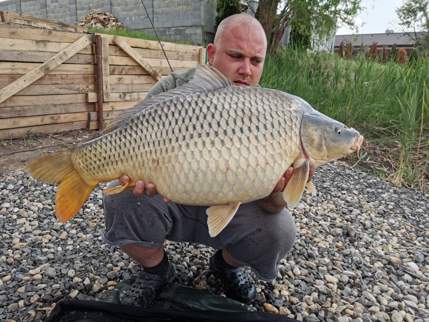 BANÁN-MUŠĽA MA NESKLAMALA