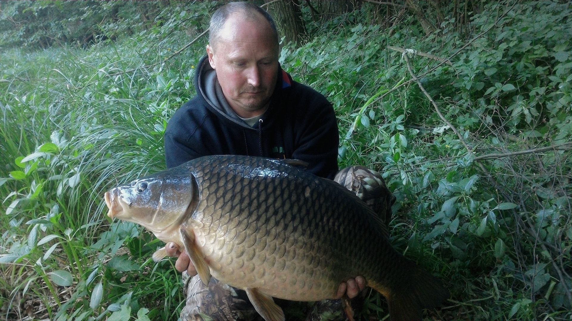 ŘEKA V JIŽNÍCH ČECHÁCH