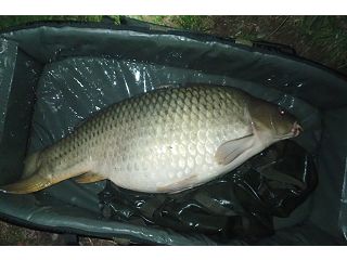 ÚSPĚŠNÝ VÍKEND NA PÍSKOVNĚ