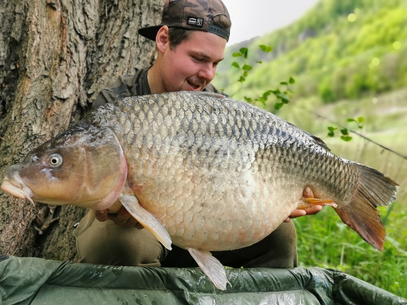 Glm koření opět ukazuje svoji sílu