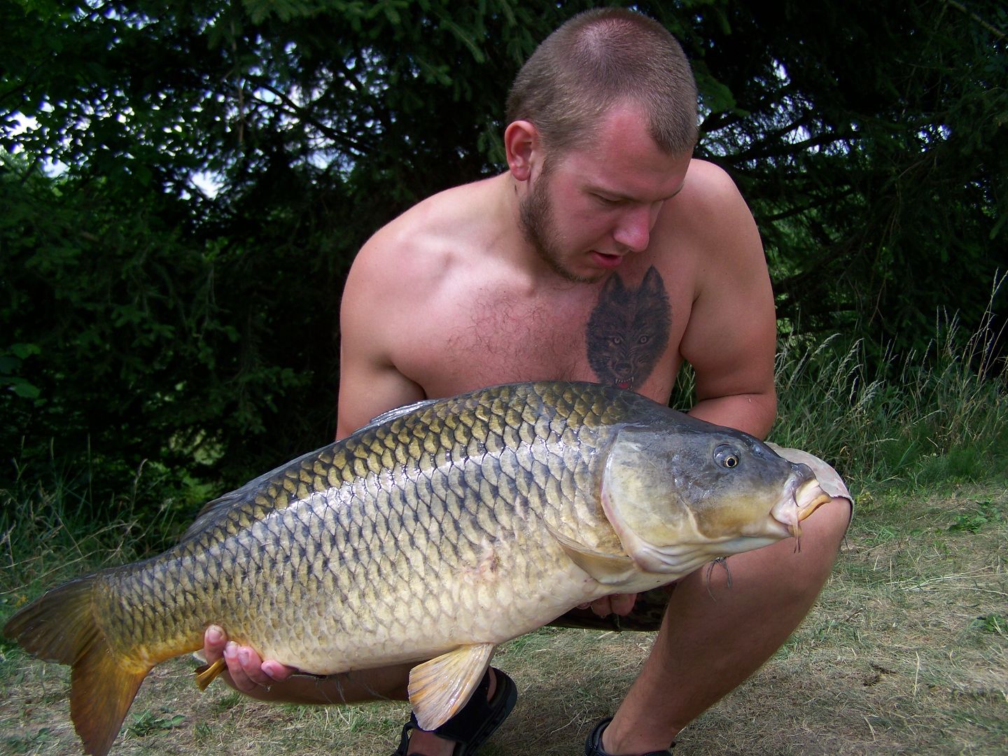 ČR - MLÝNSKÝ RYBNÍK