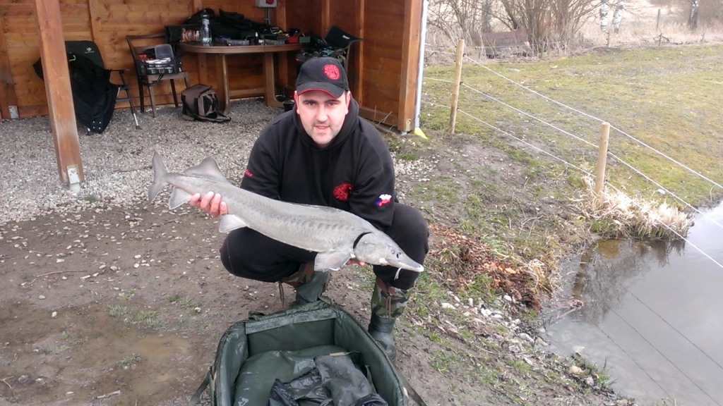 ČR - RYBNÍK VOLARY