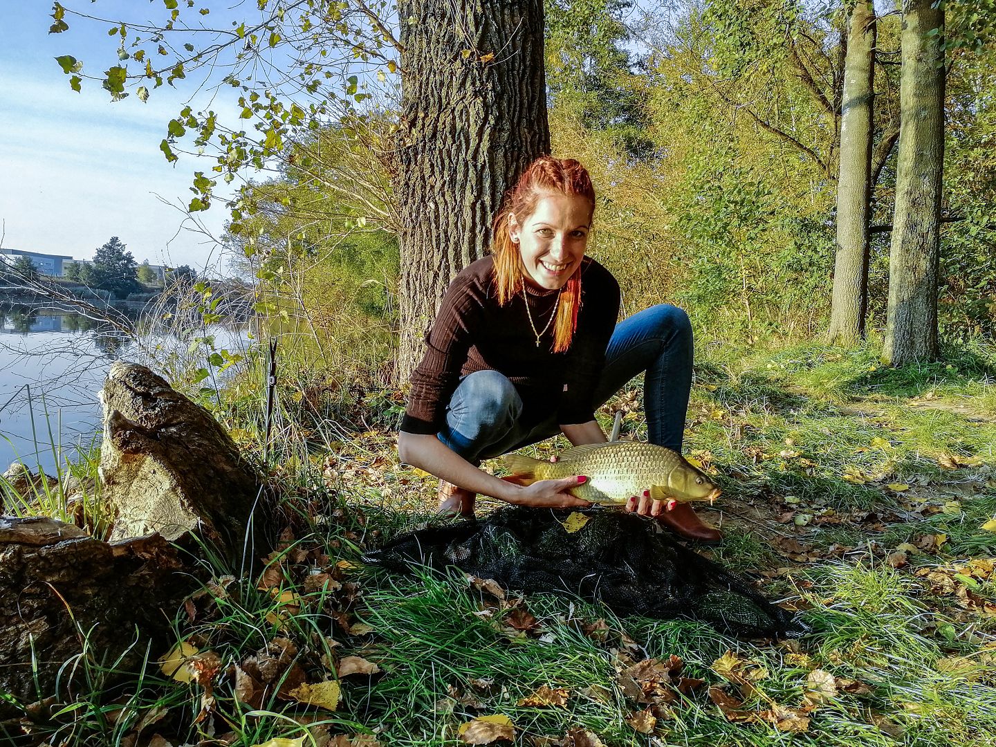 SHRNUTÍ LETOŠNÍHO ROKU