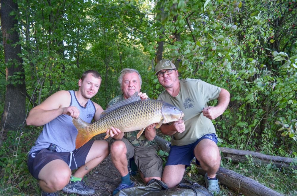 ZDENDA A ZDENDA OPĚT V AKCI