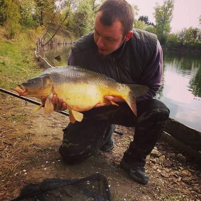 ČR - MLÝNSKÝ RYBNÍK