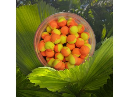 ananas14