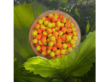 Photoroom 20250212 151427 resized 20250212 031507123