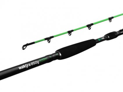 Delphin prut WALKÝRA  300cm 850g 2díl