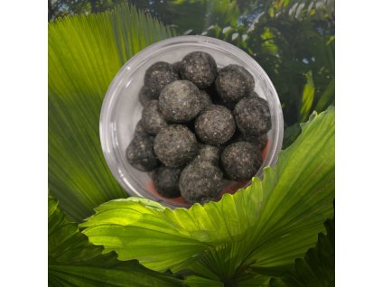 Photoroom 20250211 142402 resized 20250211 022415226