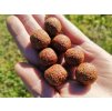 Boilies CSL, GLM-koření pr. 20mm 3kg