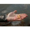 Delphin Sada Umělých mušek FLY Trout 10 ks