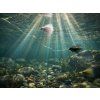 Delphin Sada Umělých mušek FLY Wild Trout 10 ks