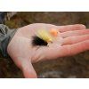 Delphin Sada Umělých mušek FLY Pond Trout 10 ks