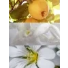 FOR YOU 2500x