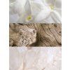 IRIS NOTAS 2500x