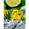 AGUA DE YODEYMA 6a549955 0894 428b af6d d1f733905594