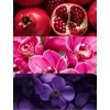 aroma5