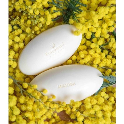 mimosa soap