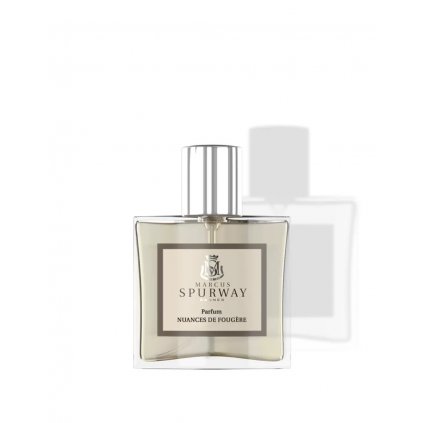 parfum homme 50ml nuances de fougere