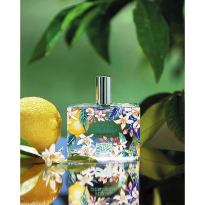 fleur citronnier