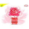 Růže bytová vůně Bloom at Home Natural ROSETTA 1024