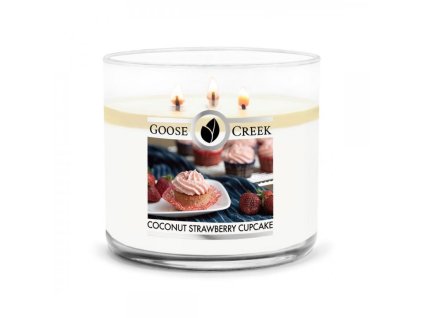 13284 goose creek coconut strawberry cupcake