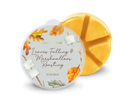 GC leasves falling and marshmallows roasting