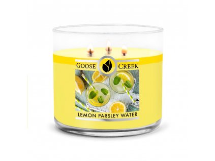 21846 goose creek lemon parsley water