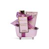 IDC Institute SCENTED BATH ROSE MINI BATHTUB SET