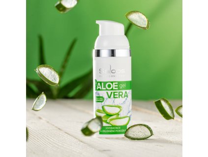 aloe 2